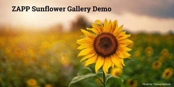Logo for ZAPP Sunflower Gallery Demo
