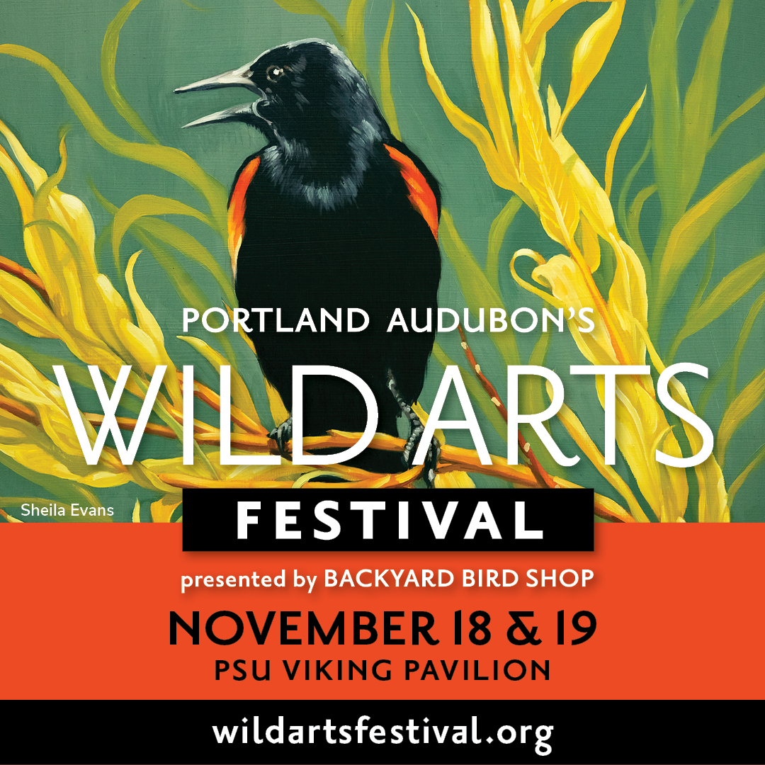 Logo for Wild Arts Festival 2023