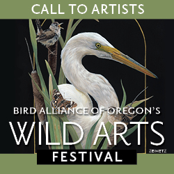 Logo for Wild Arts Festival 2025