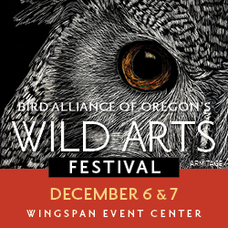 Logo for Wild Arts Festival 2025