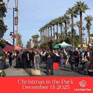 Logo for Christmas in the Park 2025