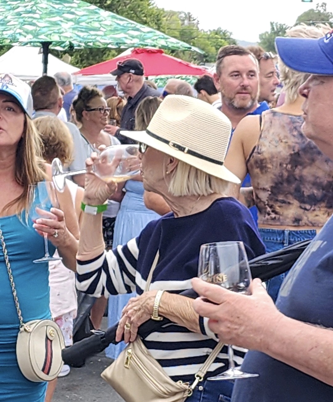 Logo for Oro Valley Fine Art & Wine Festival 2026