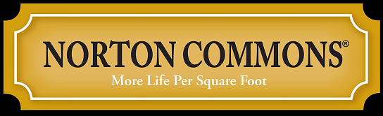 Logo for Norton Commons Art Festival 2026