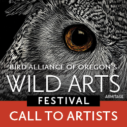 Logo for Wild Arts Festival 2026