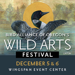 Logo for Wild Arts Festival 2026